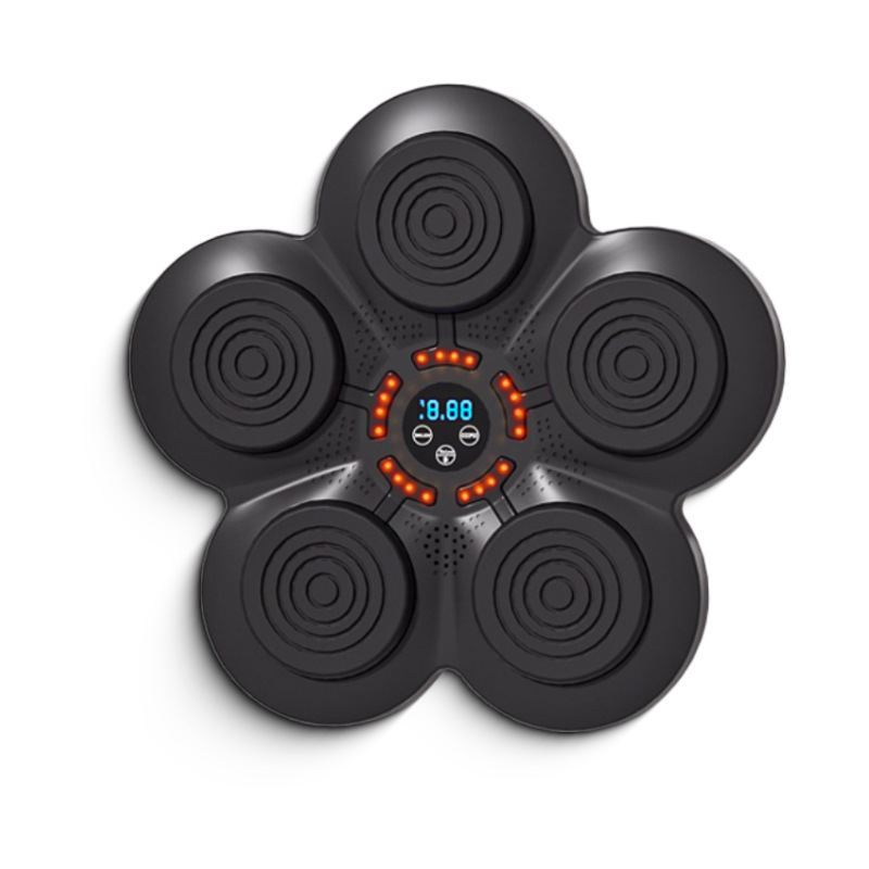 Home Improvement Music - Wall Mounted Boxing Training Machine Built